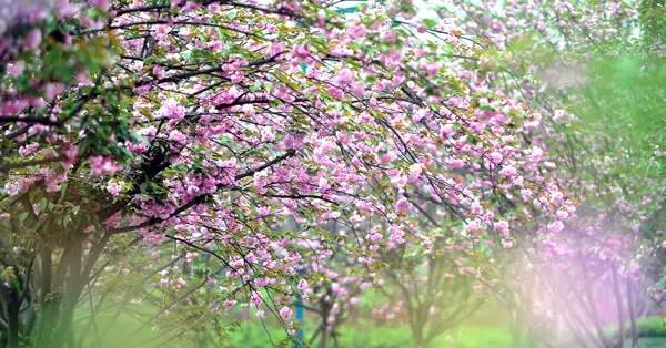 成都周边避暑的冷门景点排名榜单,成都周边比较凉快的景点