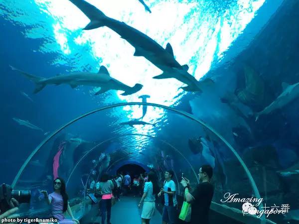 你从来没有留意过的中转站，可能比目的地更好玩！