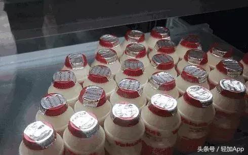 乳酸菌饮料可以减脂,开胃乳酸菌饮品