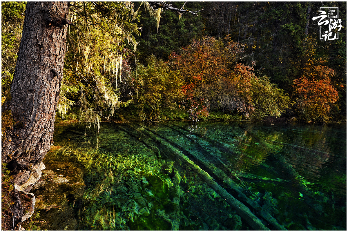 川西小环线4天自驾最佳红叶路线,川西红叶