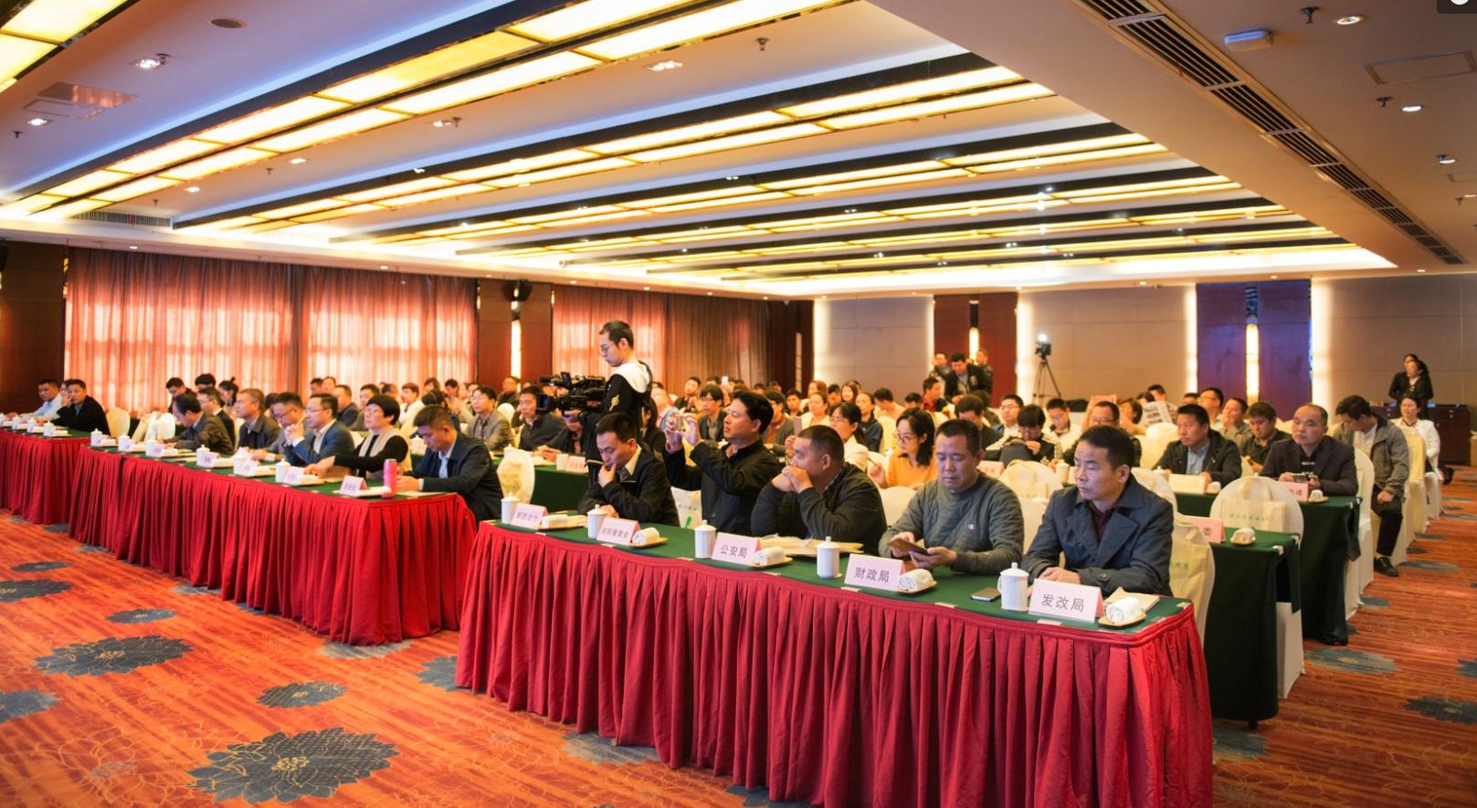 缙云智慧旅游,缙云乡村旅游