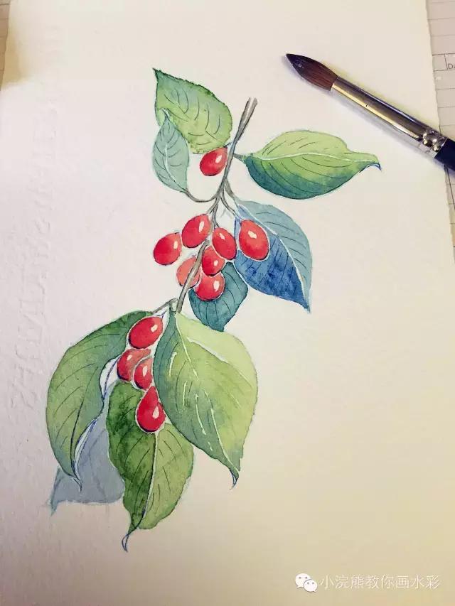 自从学会了植物色彩搭配，再也不用担心不会画植物了！