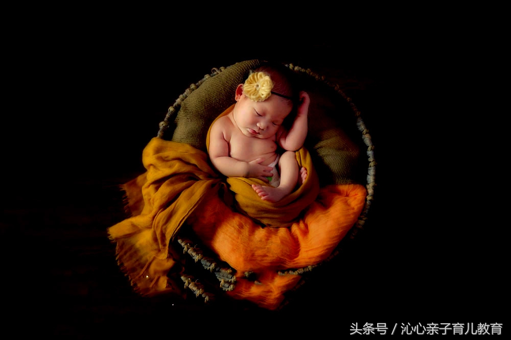 孕期知识大全孕28周孕妇必读,沁心宝妈