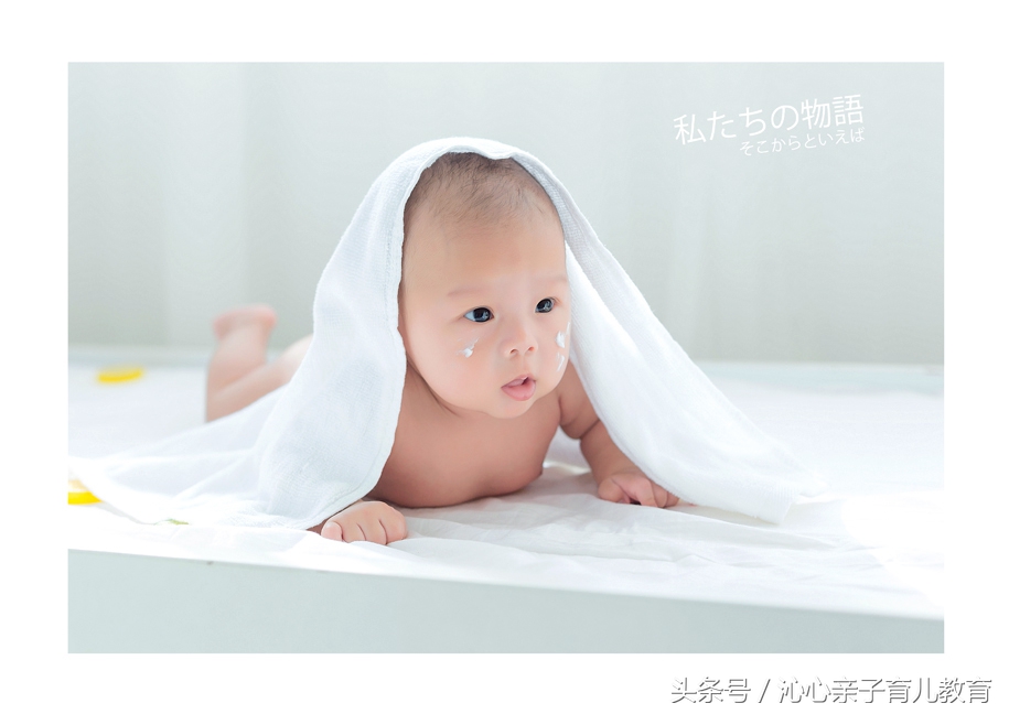 孕期知识大全孕28周孕妇必读,沁心宝妈