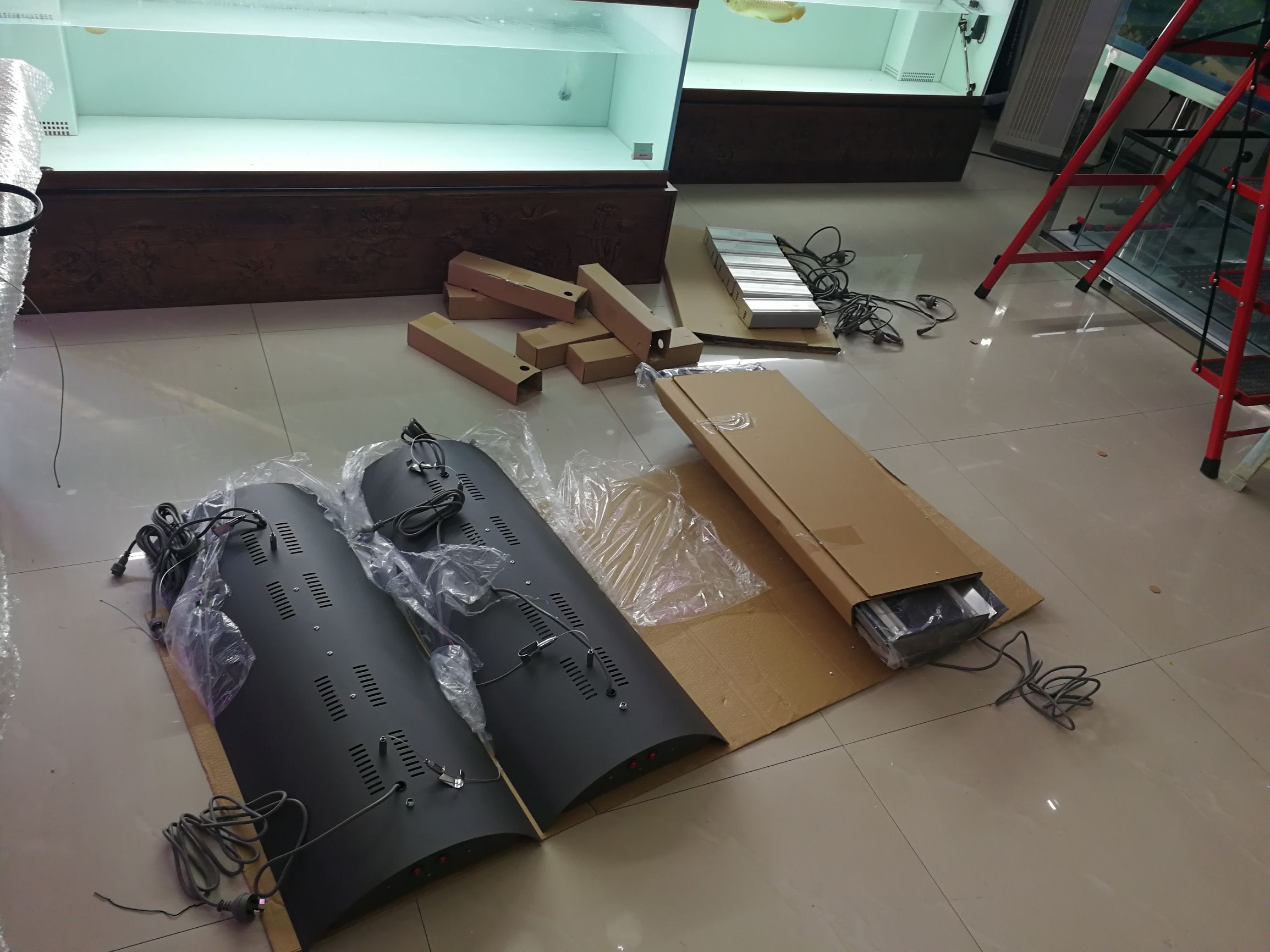 大墙鱼缸,40公分的缸养40的龙鱼