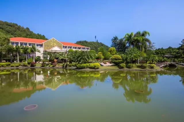 英德奇洞温泉住宿一晚价格,清远溶洞温泉度假村