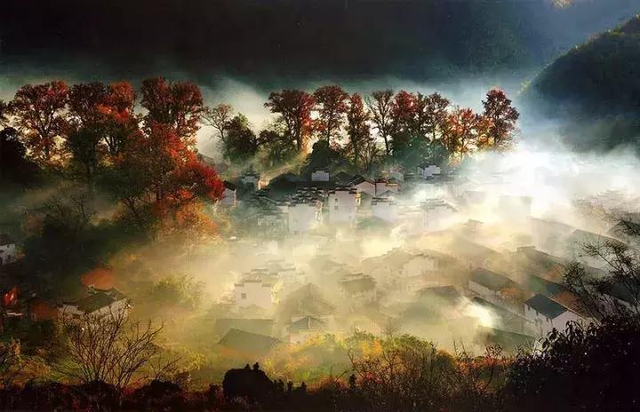 每逢佳节倍思亲又是一年九重阳,九九重阳每逢佳节倍思亲