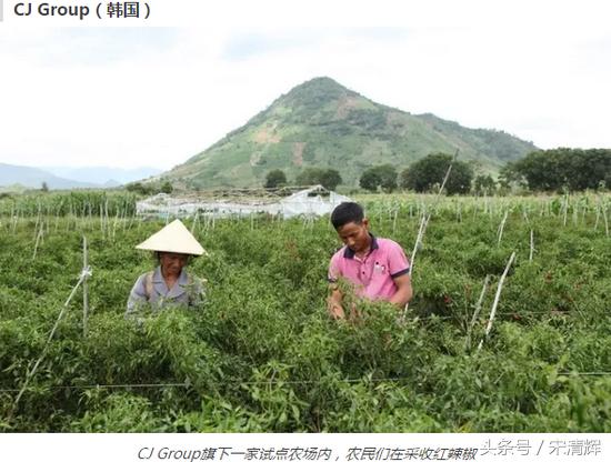 中国这8家企业屹立于世界之最,中国这八家企业屹立于世界之巅