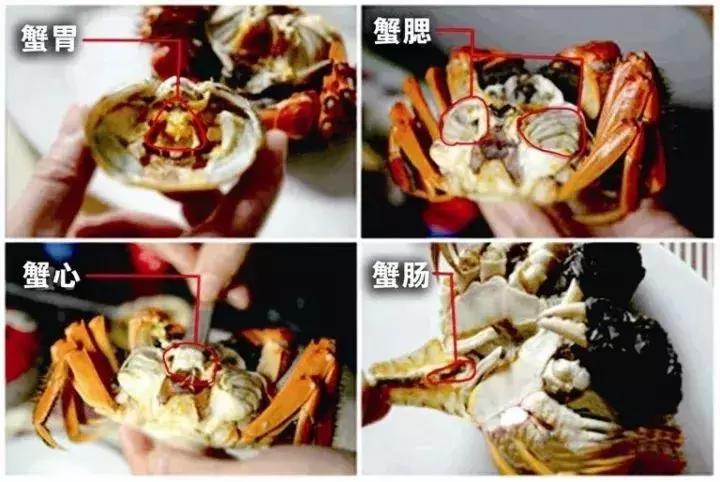 澳洲进口的大闸蟹,澳洲超市里的冰冻大闸蟹