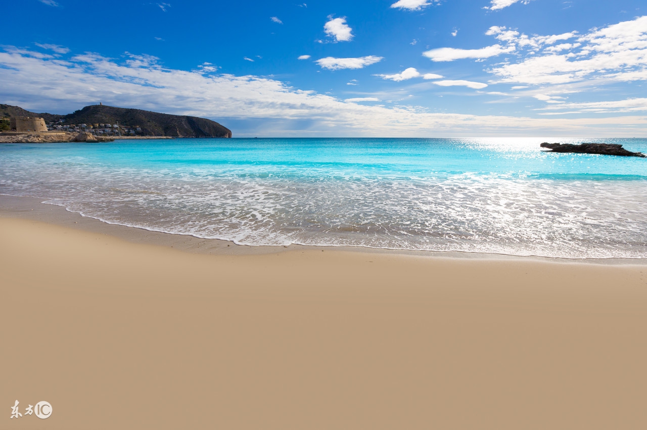 2018出生的狗宝宝几月出生好,2018年狗宝宝几月出生最好