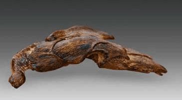 沉香木真的值钱吗,沉香木被人们视为珍宝