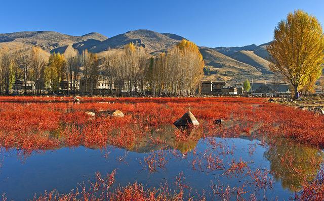 稻城亚丁到底几月份去比较好,稻城亚丁几月几日去好看