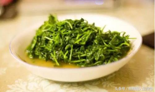 舌尖上的中国安徽毛豆腐,舌尖上的中国合肥豆腐