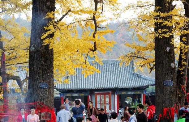 河南从多少度开始第三阶梯电价,河南驻马店分时电价政策