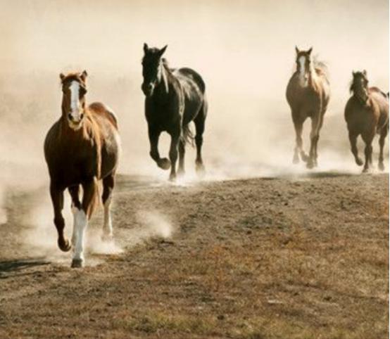 做销售怎么才能做到开窍,销售怎么做会更有前景