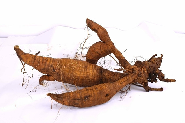 身体津液不足出现内热,身体热气重怎么调理