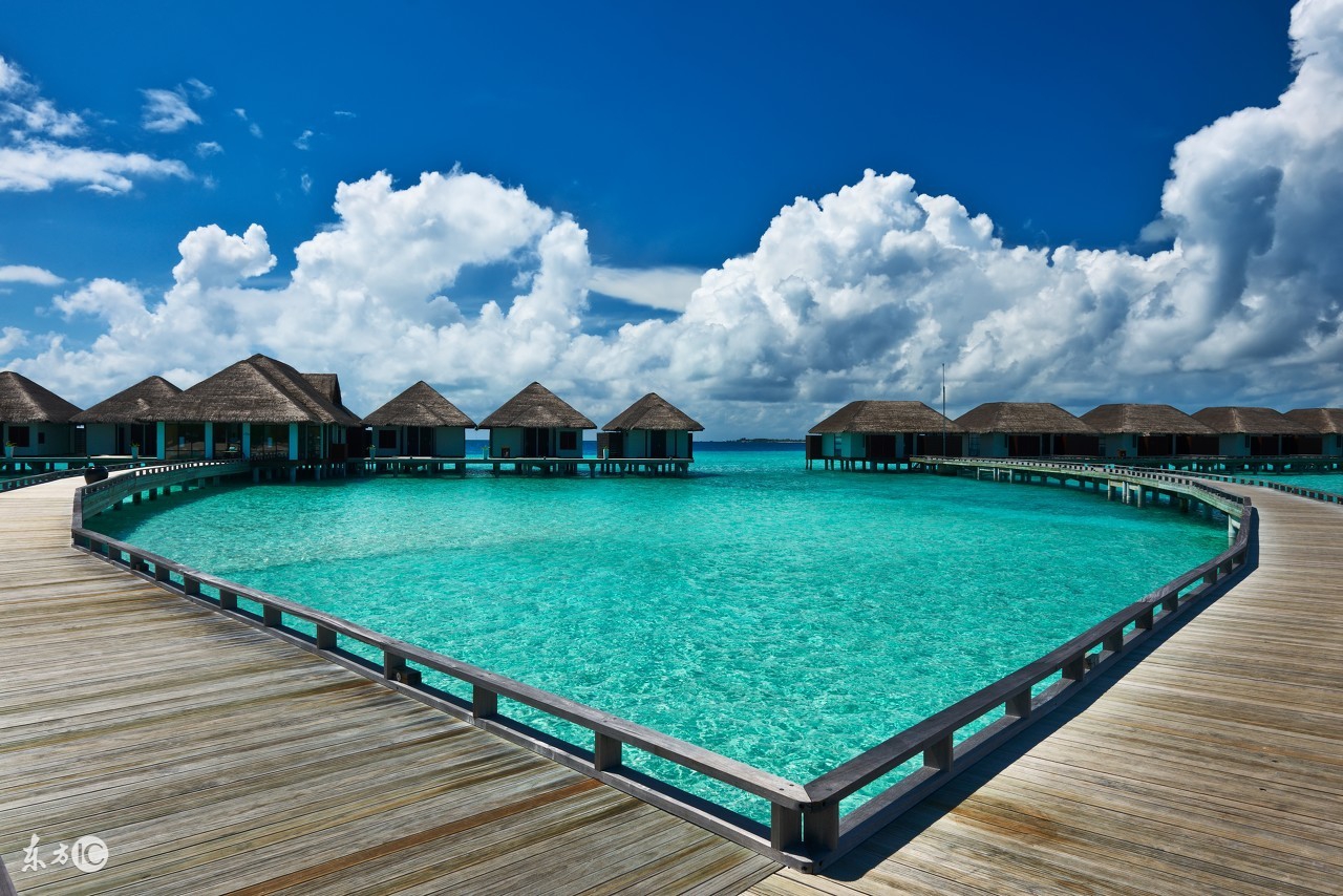 猴宝宝快乐成长,猴宝宝应该很开心吧