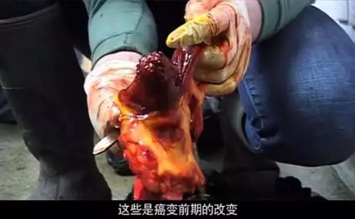 看了让人非常难受的高分电影,这辈子都不想看的电影