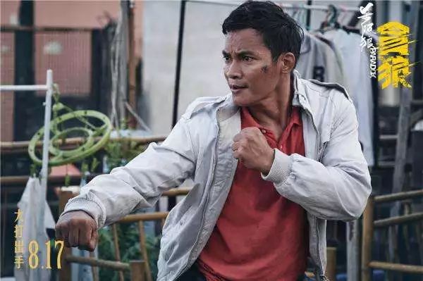 泰国拳王托尼贾比赛,泰国拳王托尼贾救小象