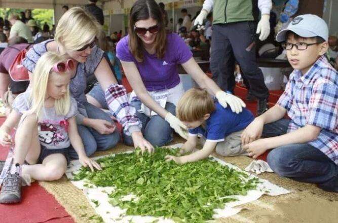 韩国的茶叶是什么样子的,韩国茶叶怎么样