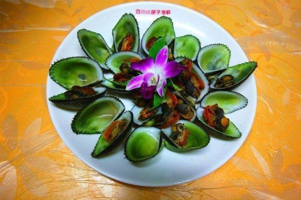 带上兜兜去旅游,带着小嘟嘟去旅游