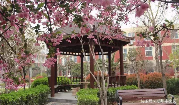 郑州七十三中实验班,郑州市七十三中初中怎么样