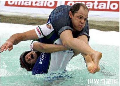 世界10大体育项目,世界上的十大最难的体育项目