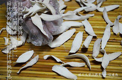 河南理工大学山药哥,程建伟铁棍山药