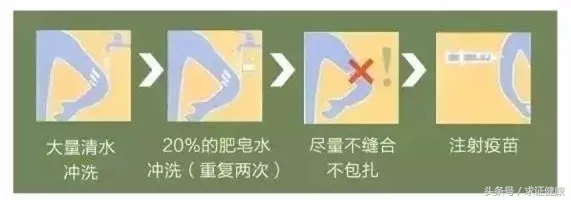 打了疫苗一定不死吗,打了疫苗就不得犬瘟吗