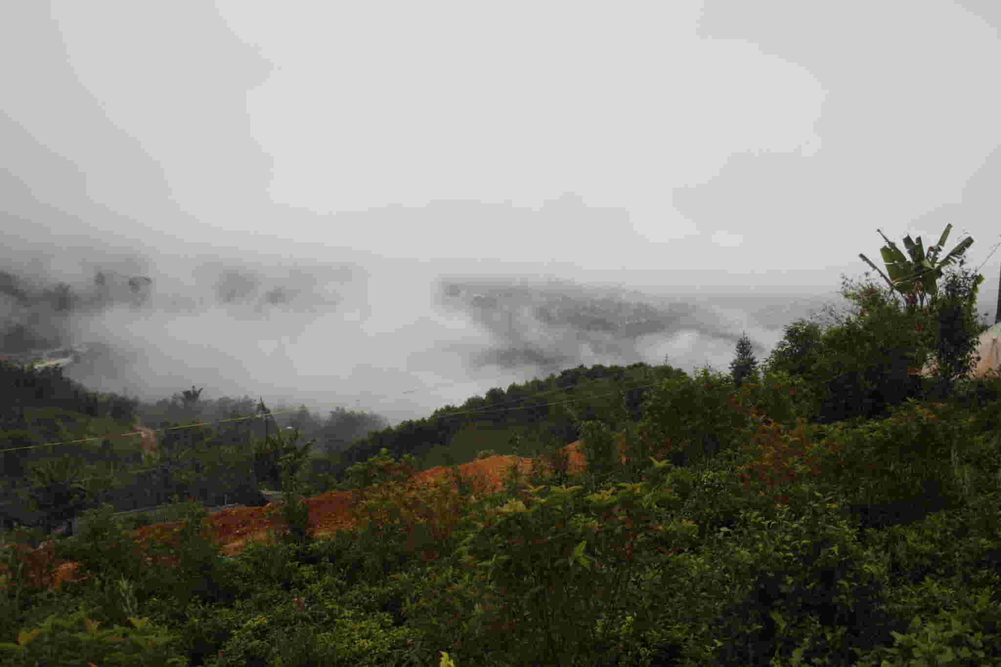 古树茶好喝吗视频,古树茶好在哪里
