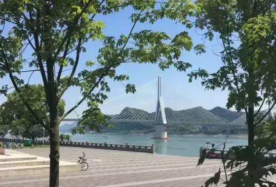 宜昌的四大美女之一是谁,四大美女你最喜欢哪个