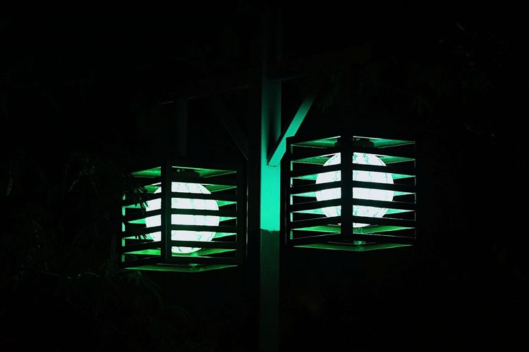 去东湖逛一圈,夏天去东湖哪个景区好玩