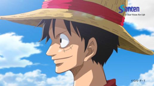 fx眼药水海贼王,参天眼药水海贼王