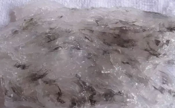 挑毛燕的小窍门,挑毛燕最好方法