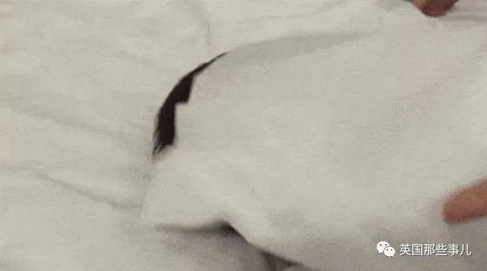 网上带孩子的技巧,网上带娃的技巧有哪些