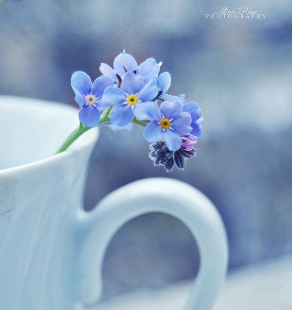 栗子姐情感问答,栗子姐情感问答全集