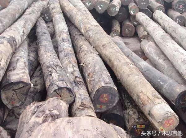 吉他面板什么木材好,最适合做吉他面板的木材