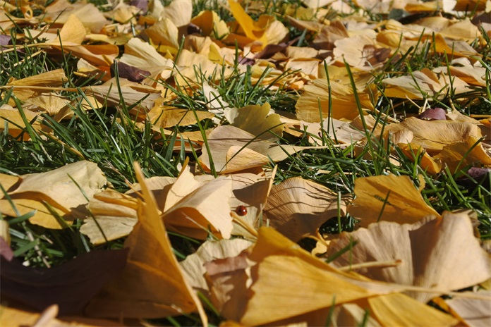 尼康j5各系列哪个值得入手,尼康j5最新视频