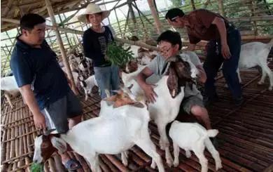 农民返乡创业不如试试这4个项目,农民工返乡创业成功的秘诀