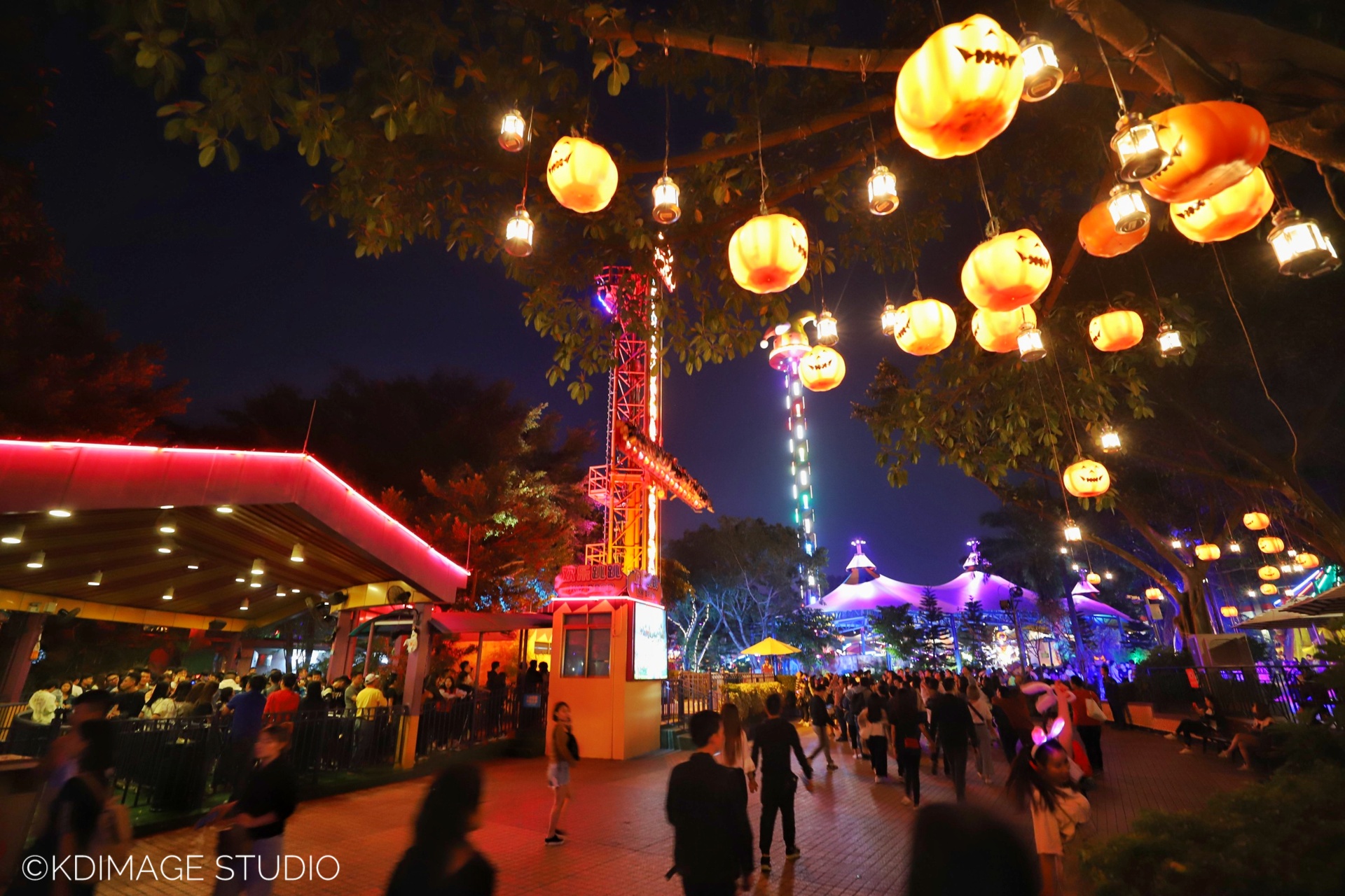 久违的狂欢:和许巍一起过长隆欢乐万圣节