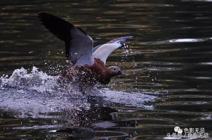 索尼黑卡rx10iv摄影尺寸,如何使用索尼黑卡rx10iv