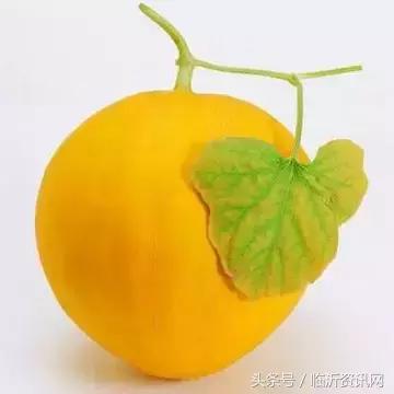 世界公认10大顶级水果,世界粮农组织推荐的五大健康水果