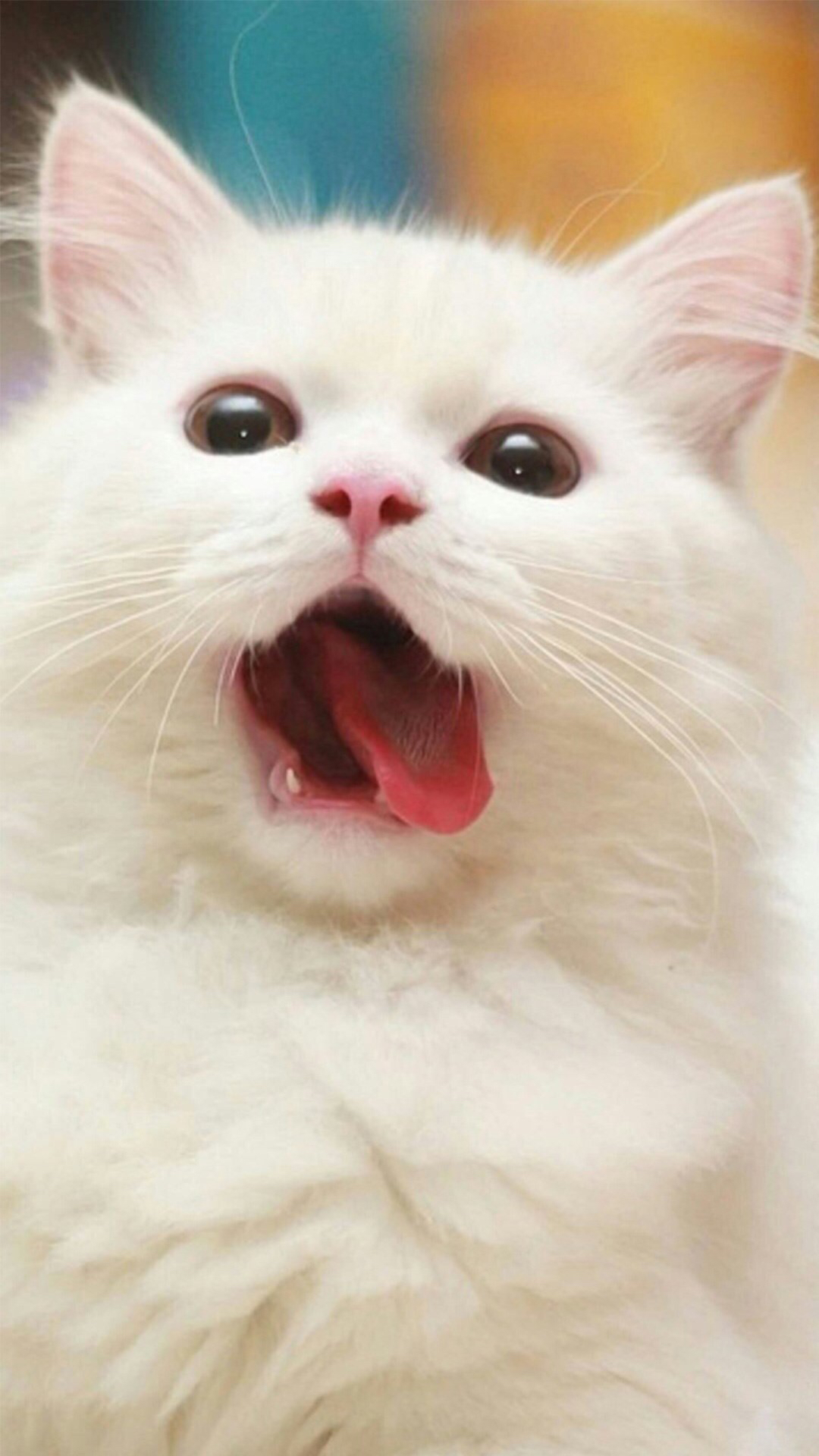 唯美锁屏壁纸图片大全少女心,向日葵唯美壁纸锁屏图片