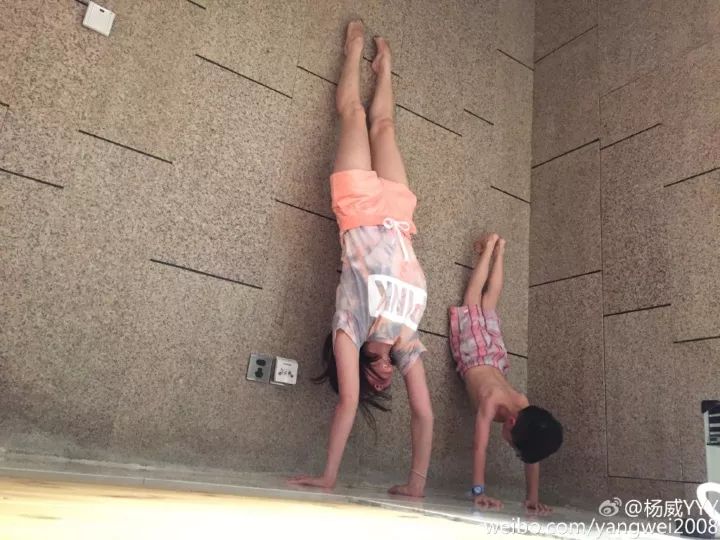 杨阳洋伊娃体操,杨威儿子杨阳洋体操比赛
