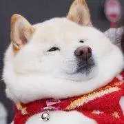 双11值得买的大牌底妆,双11到了抢购东西