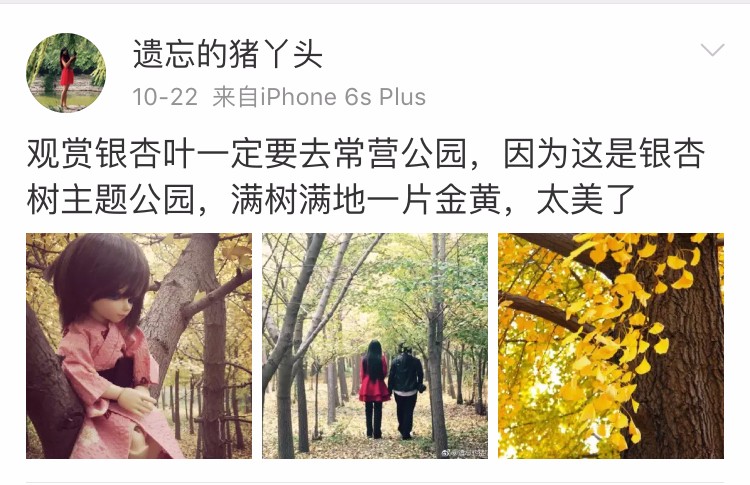 京城赏秋打卡胜地,京城赏荷最佳路线图