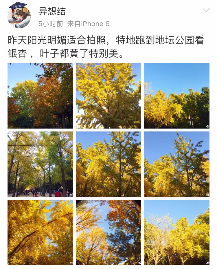 京城赏秋打卡胜地,京城赏荷最佳路线图