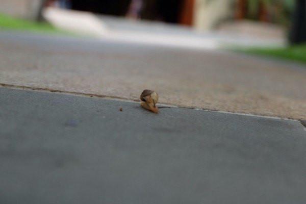 国内亲子游必去的10个海边,假期带孩子去大海旅游推荐