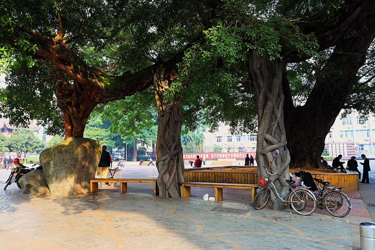 闽中明珠尤溪，八山一水一分田