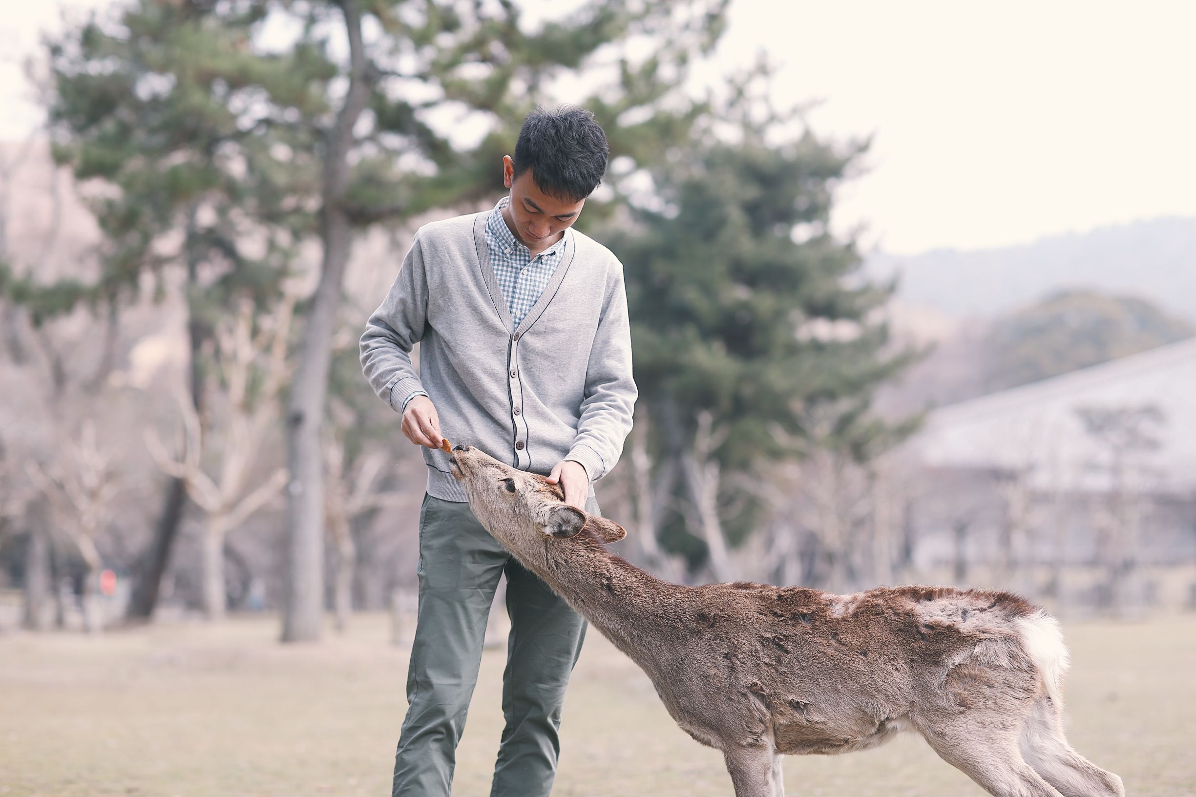 日本亲子游自由行攻略,日本旅游性价比攻略